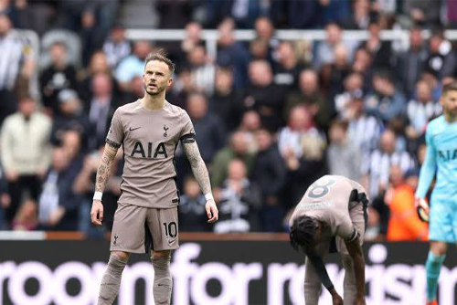 ทำได้แค่นี้ แมดดิสัน ขอโทษ แฟนไก่ หลังแพ้เละเทะ